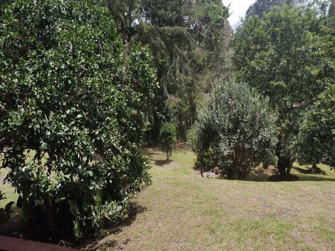Finca en venta en El Carmen De Viboral, El Carmen de Viboral, 250 m² · foto 11 de 13