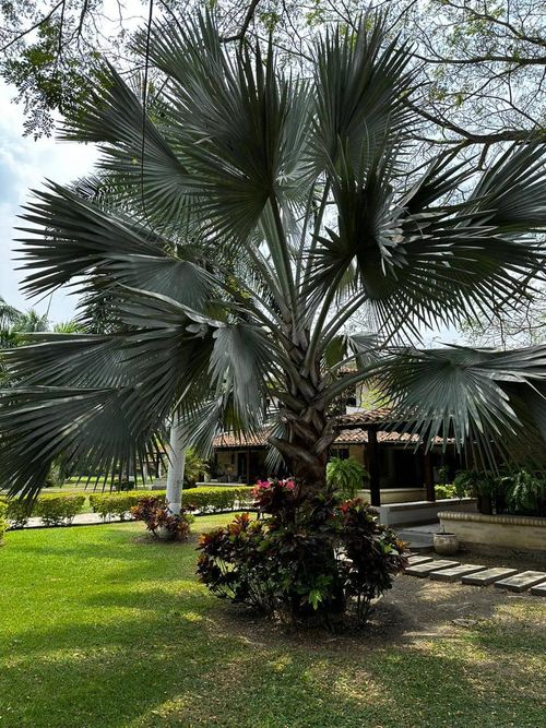 Finca en arriendo en Rozo, Palmira, 400 m² · foto 24 de 24