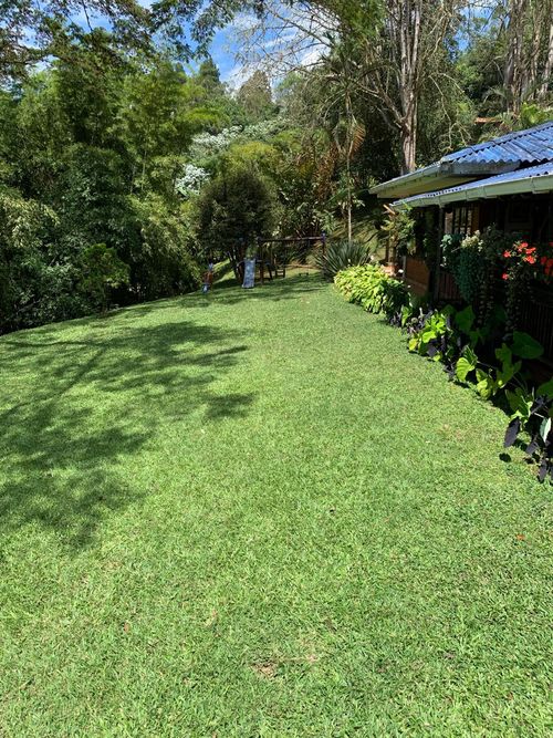 Finca en venta en Vista Hermosa, Cali, 18530 m² · foto 8 de 24