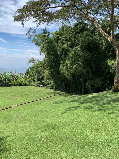 Finca en venta en Vista Hermosa, Cali, 18530 m² · foto 10 de 24