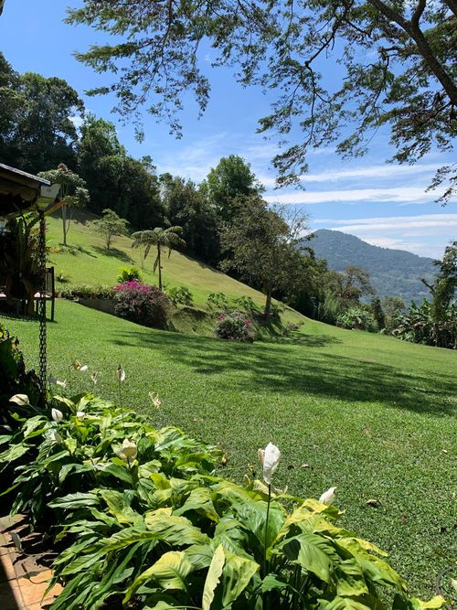 Finca en venta en Vista Hermosa, Cali, 18530 m² · foto 6 de 24
