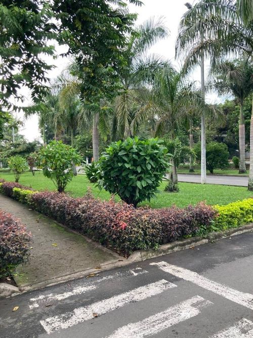 Casa de 3 alcobas en venta en Ciudad Country, Jamundí, 86 m² · foto 3 de 19