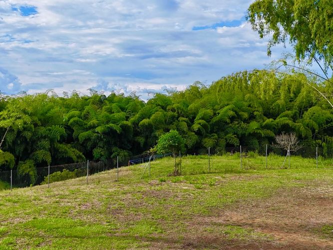 Lote en venta en Cerritos, Pereira, 1597 m² · foto 5 de 7