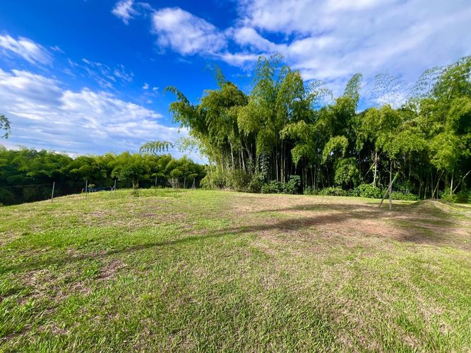 Lote en venta en Cerritos, Pereira, 1597 m² · foto 6 de 7