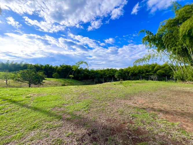 Lote en venta en Cerritos, Pereira, 1597 m² · foto 7 de 7