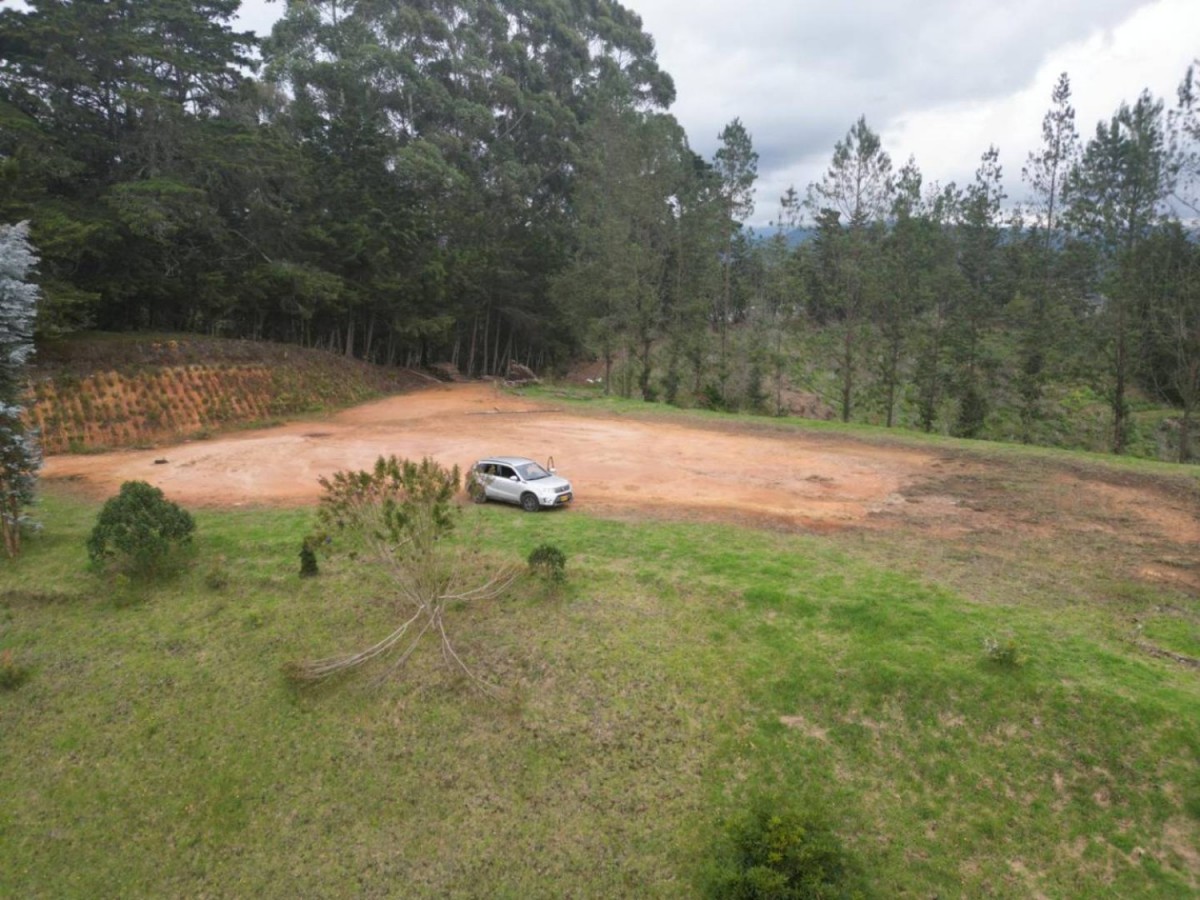 Land in Pantanillo for Sale - 4