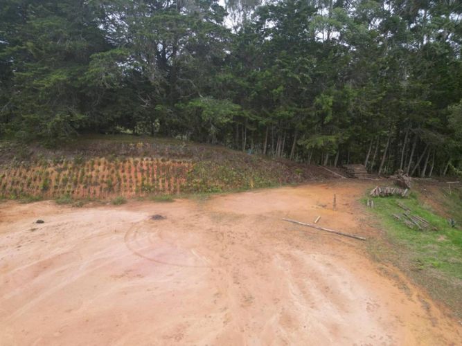Lote en venta en Pantanillo, El Retiro, 14592 m² · foto 9 de 15
