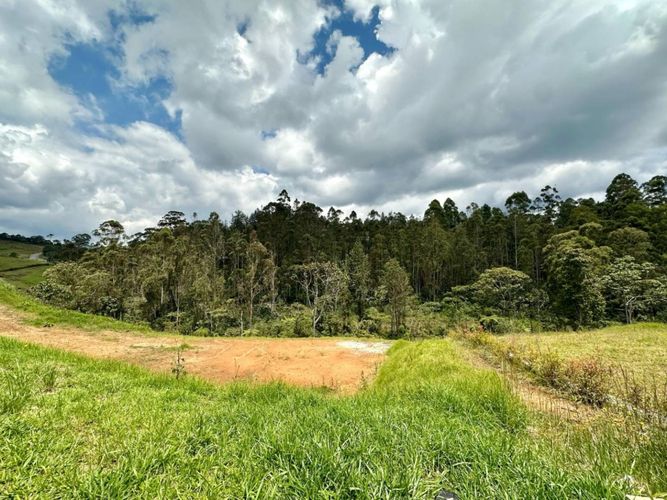 Lote en venta en Pantanillo, El Retiro, 2820 m² · foto 8 de 10