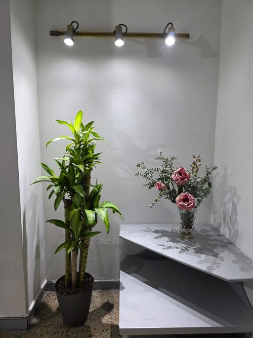 Casa de 5 alcobas en venta en San Joaquin, Medellín, 250 m² · foto 21 de 21