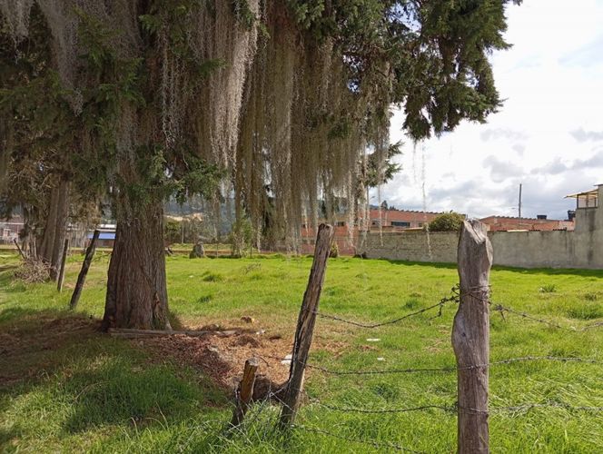 Lote en arriendo en Verganzo, Tocancipá, 1240 m² · foto 4 de 13