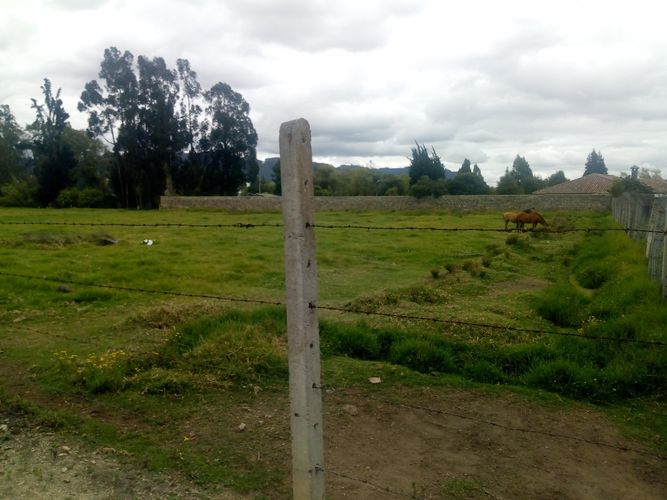 Lote en venta en Calahorra, Cajicá, 9280 m² · foto 6 de 9