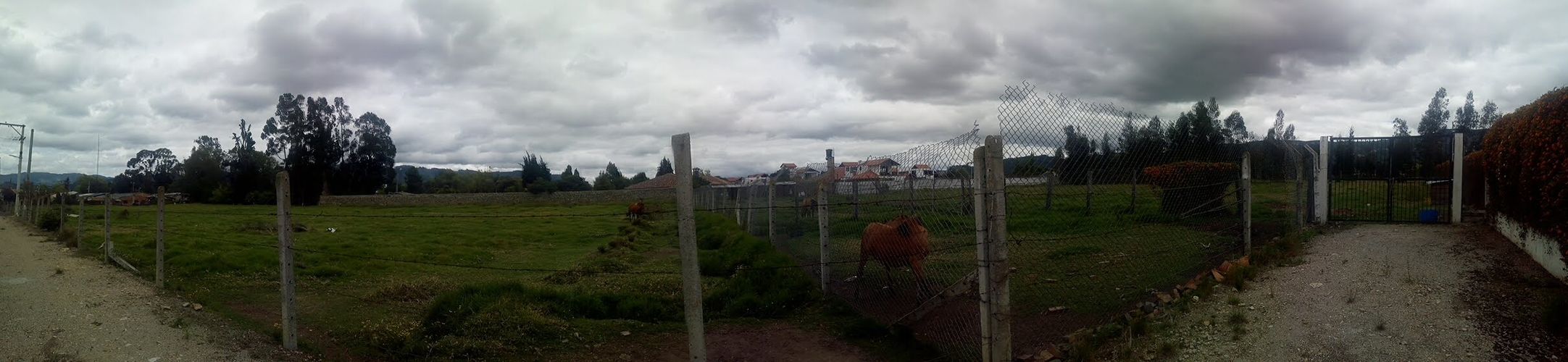 Lote en venta en Calahorra, Cajicá, 9280 m² · foto 8 de 9