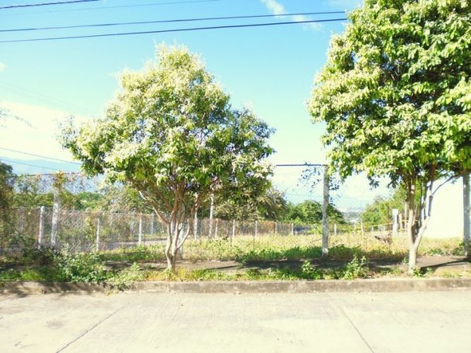 Lote en venta en La Gaitana, Neiva, 363 m² · foto 6 de 8