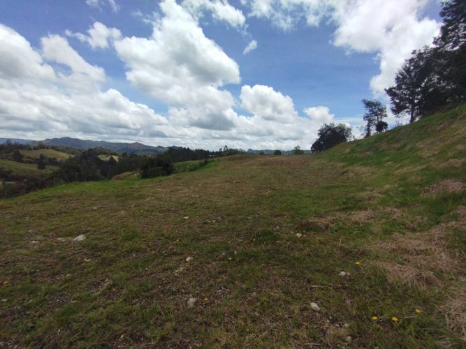 Lote en venta en Pantanillo, El Retiro, 1610 m² · foto 6 de 15