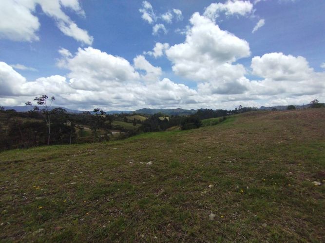 Lote en venta en Pantanillo, El Retiro, 1610 m² · foto 7 de 15