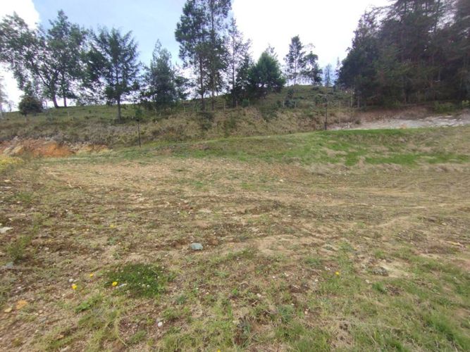 Lote en venta en Pantanillo, El Retiro, 1610 m² · foto 14 de 15