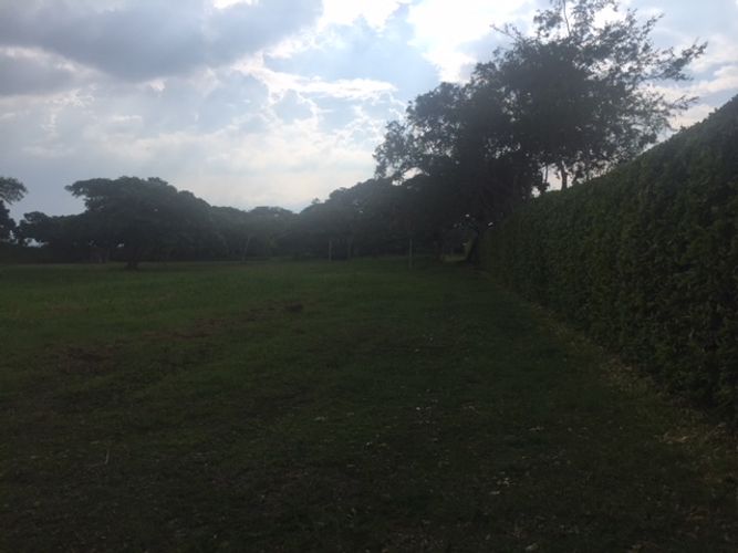 Finca en venta en Rozo, Cota, 300 m² · foto 6 de 18