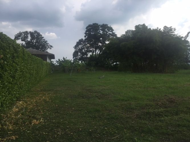 Finca en venta en Rozo, Cota, 300 m² · foto 7 de 18
