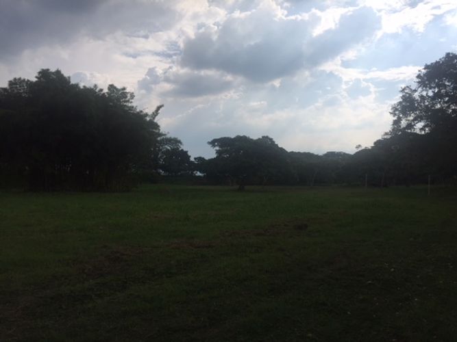 Finca en venta en Rozo, Cota, 300 m² · foto 8 de 18
