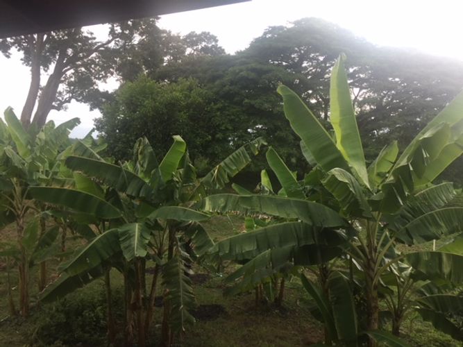 Finca en venta en Rozo, Cota, 300 m² · foto 17 de 18