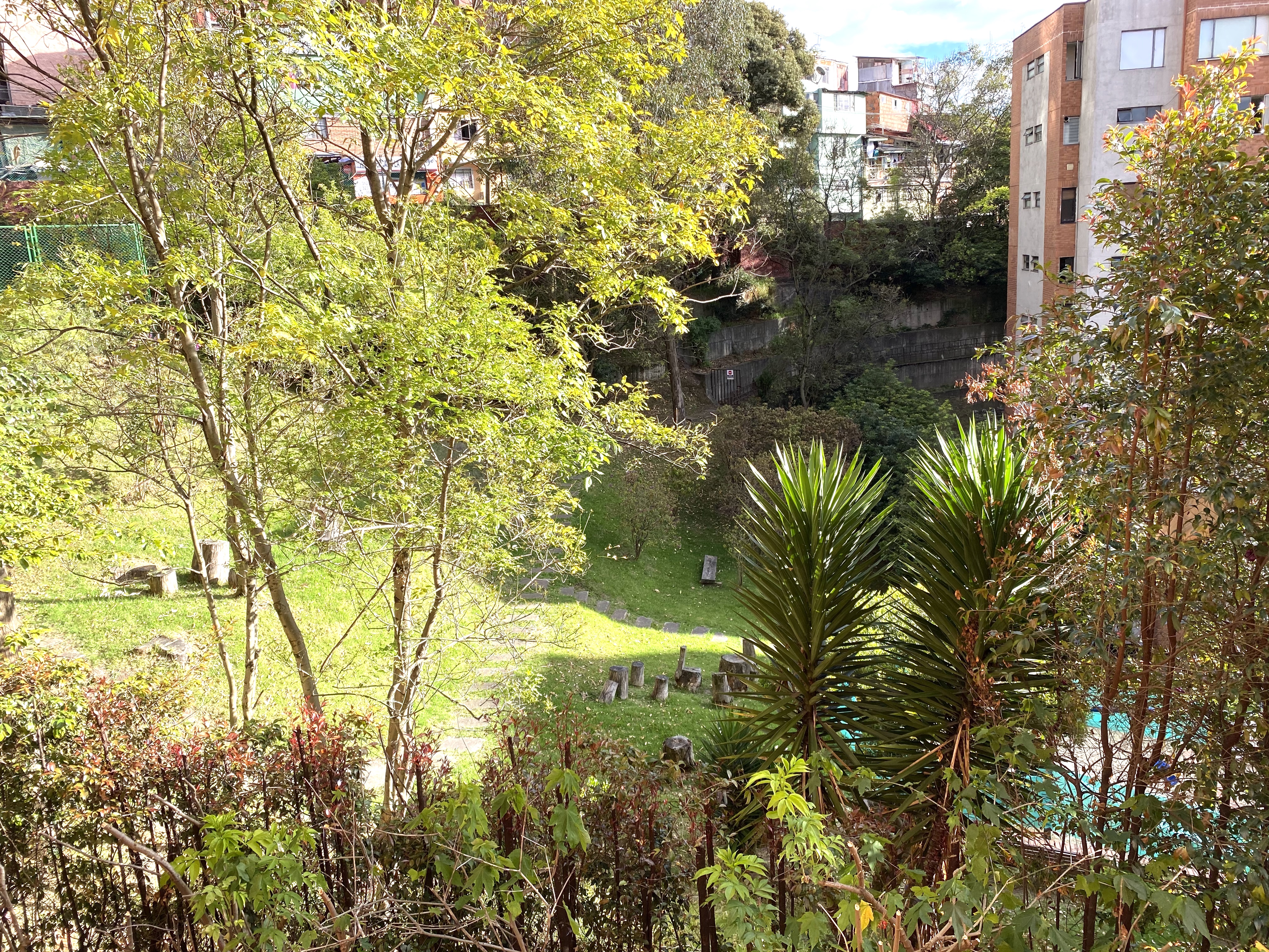 Apartamento en venta en Los Rosales, Bogotá · foto 17 de 17