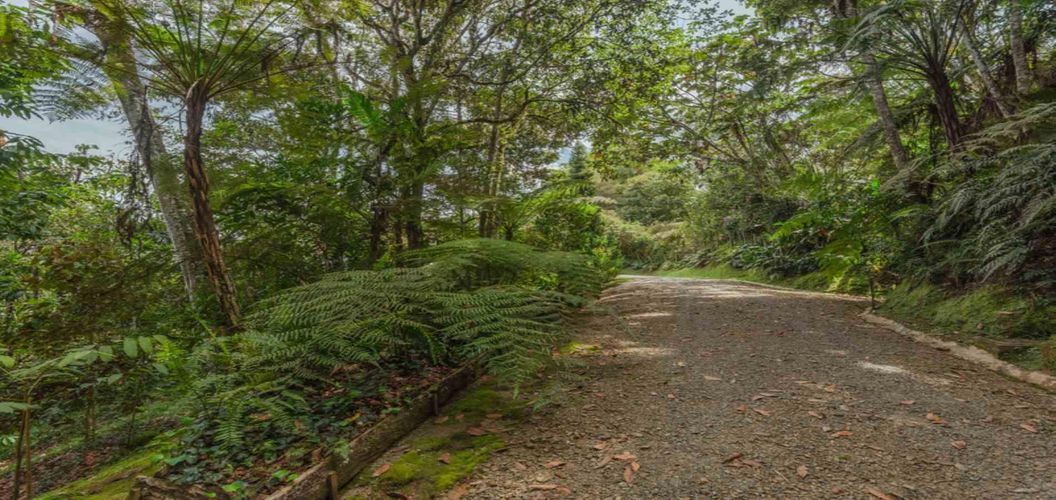 Casa de 3 alcobas en venta en Don Diego, El Retiro, 238 m² · foto 3 de 24