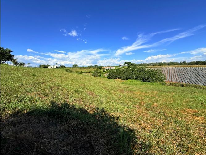 Lote en venta en Cerritos, Pereira, 2485 m² · foto 2 de 4