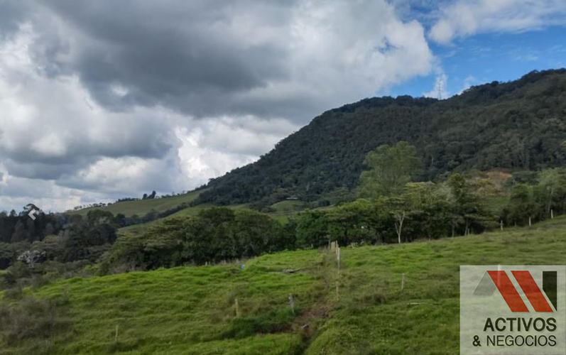 Lote en venta en El Tambo, Palmira, 1430 m² · foto 4 de 8