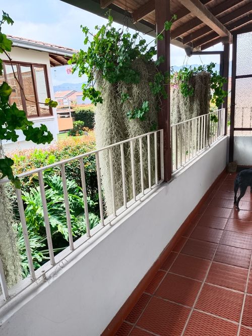 Casa de 6 alcobas en venta en El Tambo, La Ceja, 510 m² · foto 22 de 24