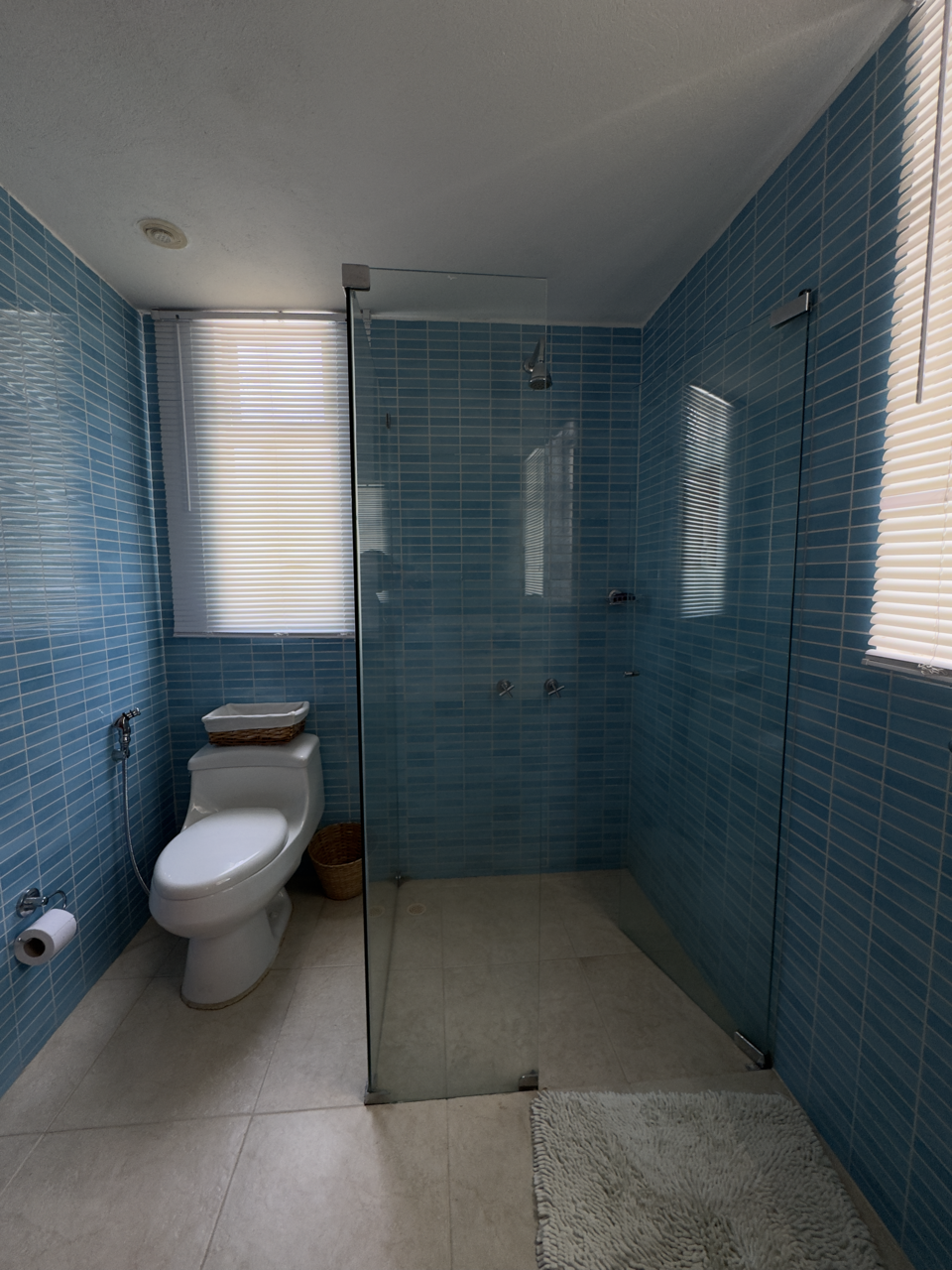 Casa en venta en Barú, Cartagena · foto 11 de 12