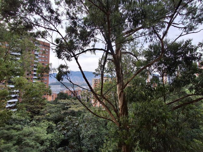 Apartamento de 3 alcobas en venta en El Poblado, Medellín, 78 m² · foto 21 de 21