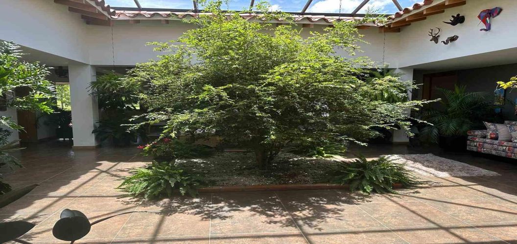 Casa de 3 alcobas en venta en El Tambo, La Ceja, 470 m² · foto 12 de 13