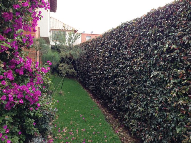 Casa de 3 alcobas en venta en El Paraiso Sector Bojaca, Chía, 205 m² · foto 22 de 24