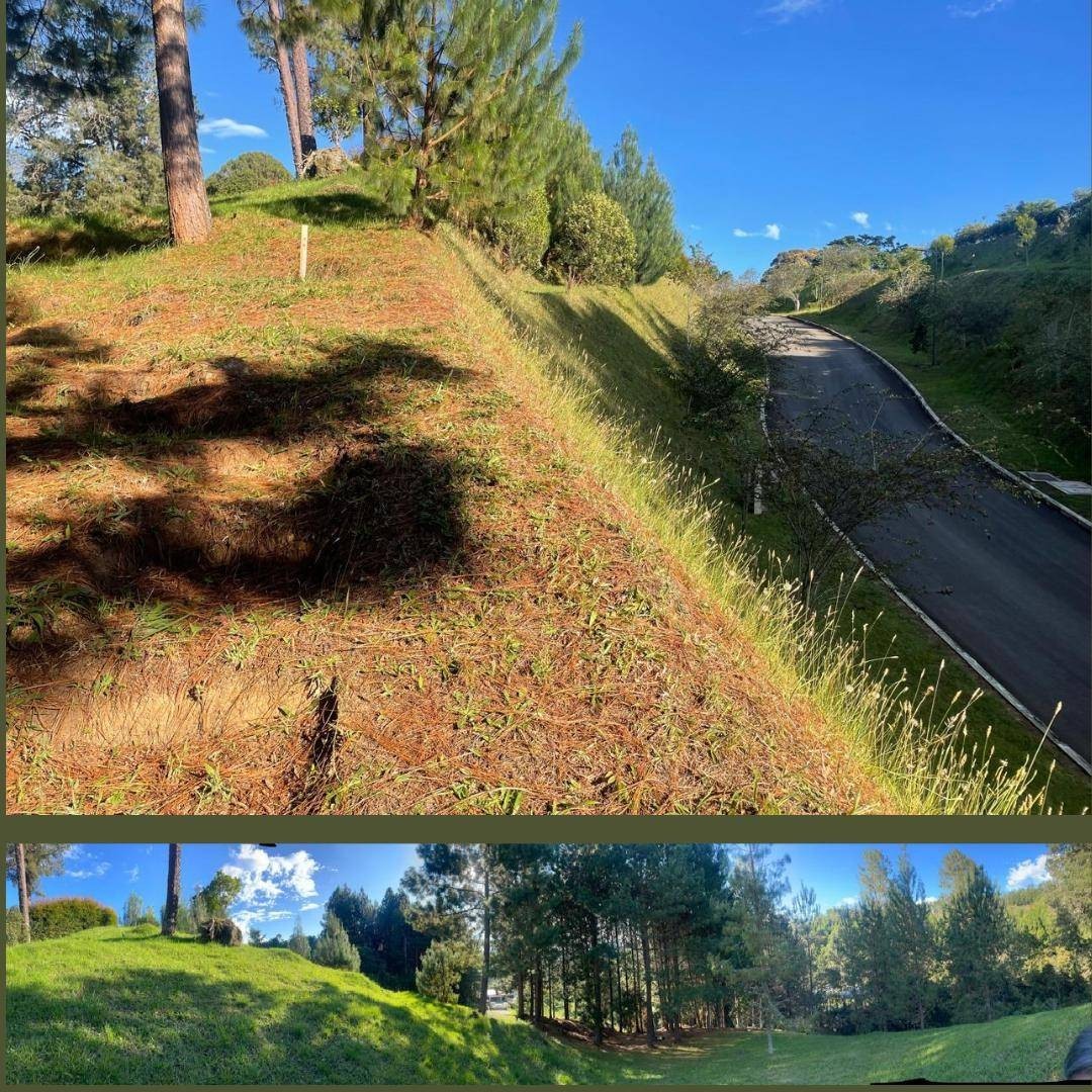 Land in El Portento for Sale