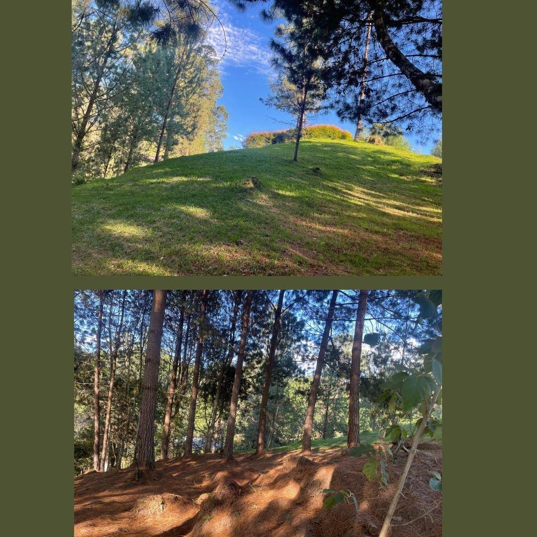 Land in El Portento for Sale - 2