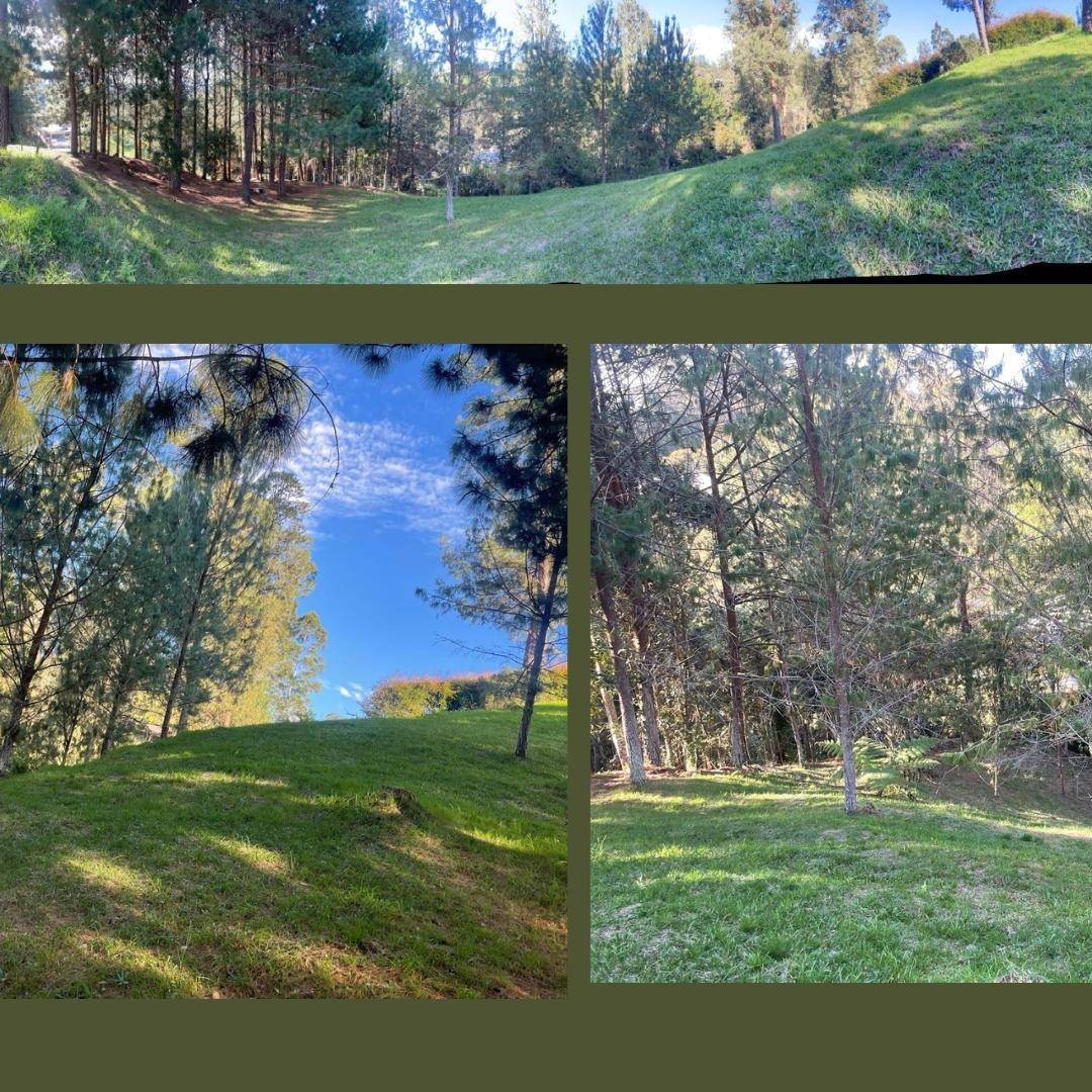 Land in El Portento for Sale - 3