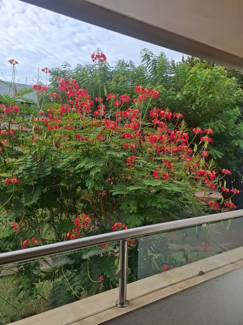 Apartamento de 3 alcobas en venta en Ciudad Jardin, Cali, 152 m² · foto 14 de 19