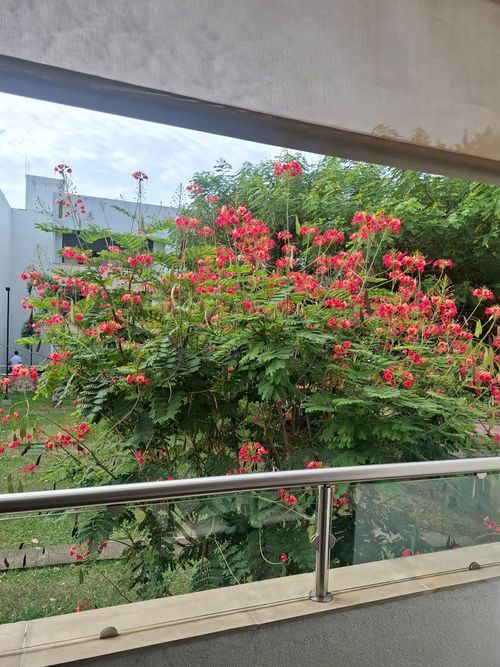 Apartamento de 3 alcobas en venta en Ciudad Jardin, Cali, 152 m² · foto 15 de 19
