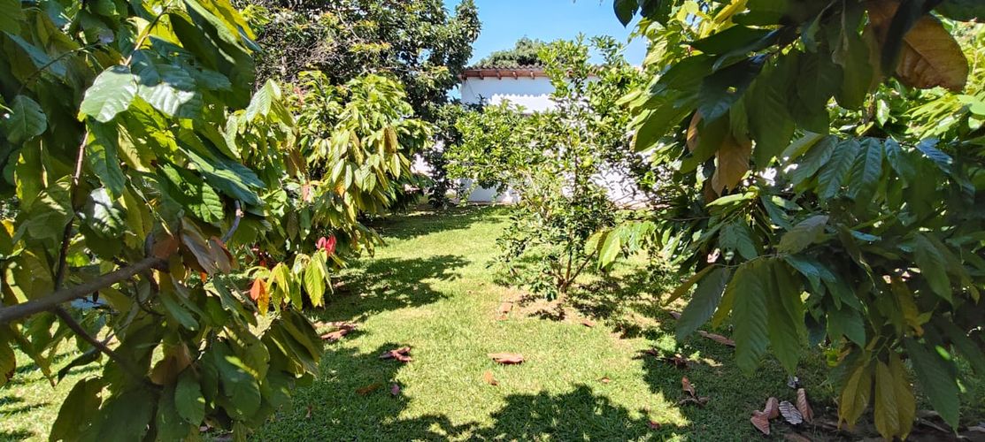 Lote en venta en Ruitoque Bajo, Floridablanca, 9800 m² · foto 4 de 16