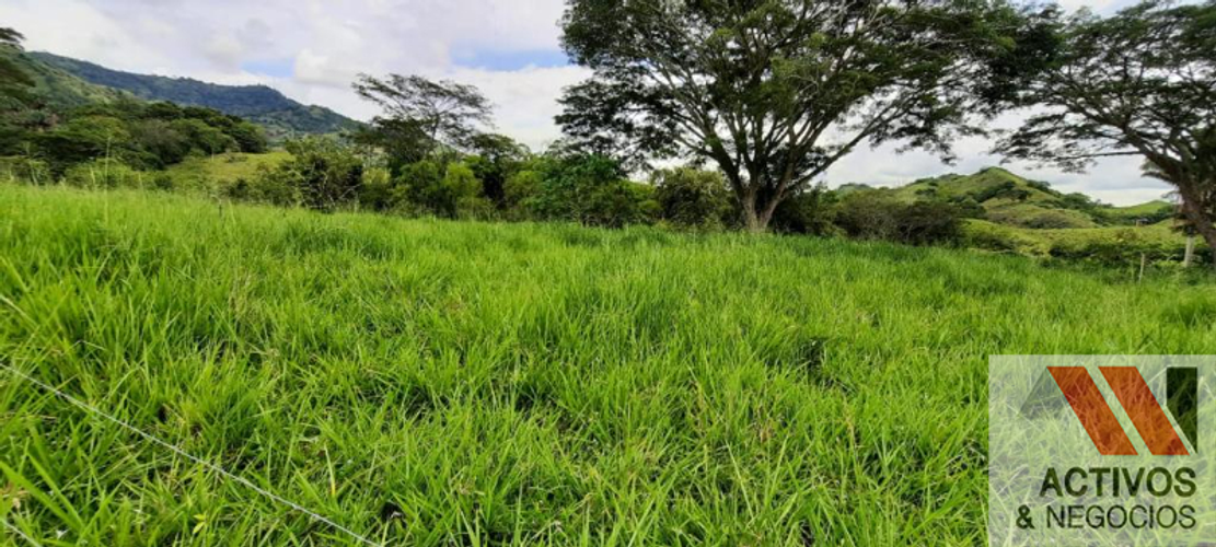Finca en venta en Cruces, Cali · foto 6 de 24