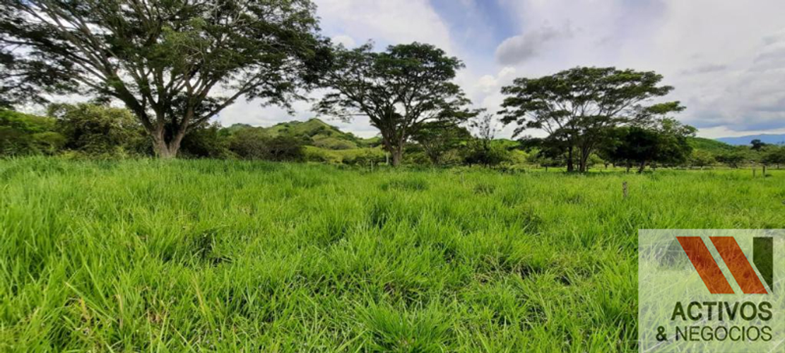 Finca en venta en Cruces, Cali · foto 8 de 24