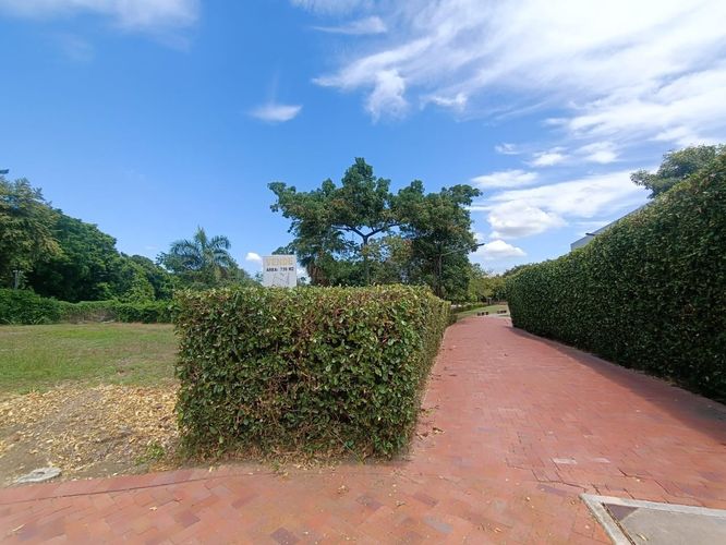 Lote en venta en Bosques De Peñalisa, Ricaurte, 730 m² · foto 9 de 23
