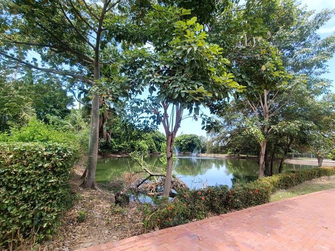 Lote en venta en Bosques De Peñalisa, Ricaurte, 730 m² · foto 10 de 23