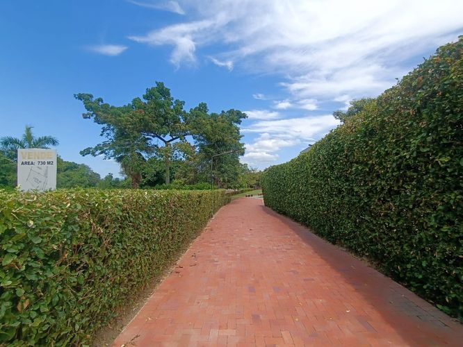 Lote en venta en Bosques De Peñalisa, Ricaurte, 730 m² · foto 13 de 23