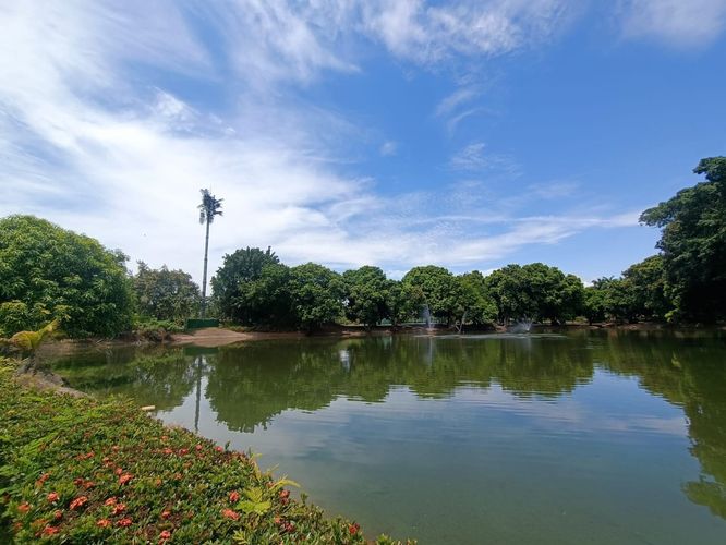 Lote en venta en Bosques De Peñalisa, Ricaurte, 730 m² · foto 18 de 23
