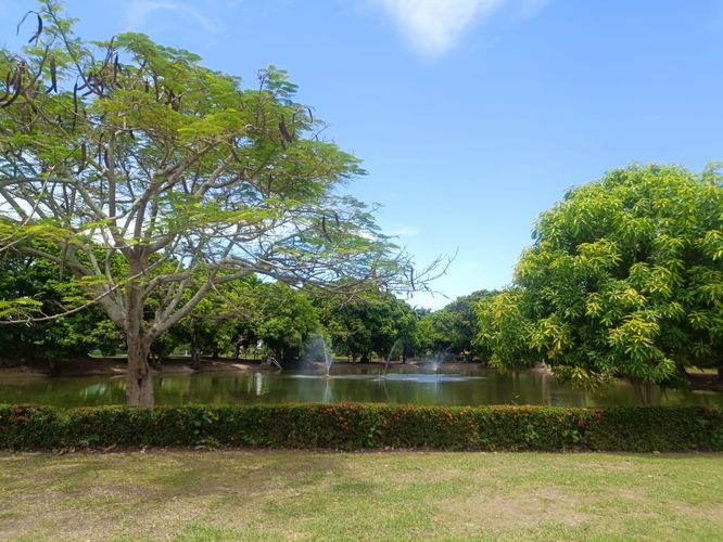 Lote en venta en Bosques De Peñalisa, Ricaurte, 730 m² · foto 19 de 23