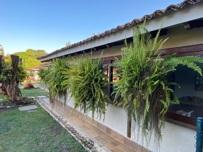Casa de 4 alcobas en venta en Pance, Cali, 330 m² · foto 7 de 17