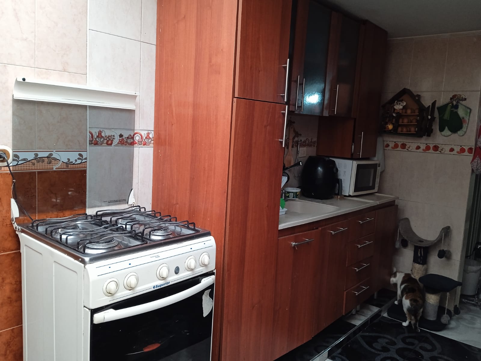 Casa en venta en Villa Alsacia, Bogotá · foto 22 de 24