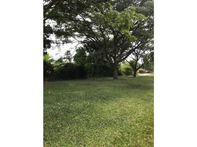 Lote en venta en Pance, Cali, 1652 m² · foto 10 de 14