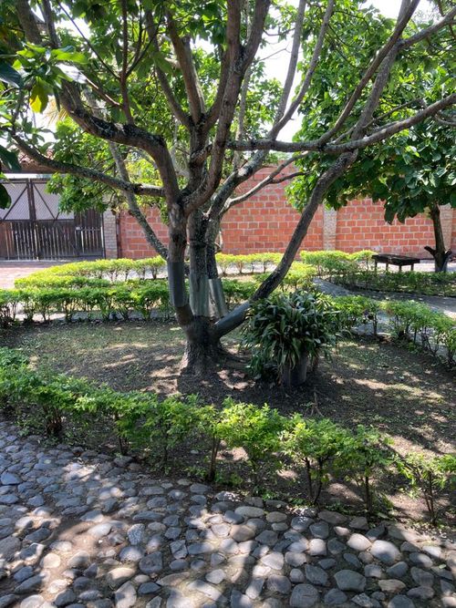 Finca en venta en Rozo, Palmira, 275 m² · foto 22 de 24